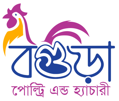 সোনালী ক্লাসিক - Image 2